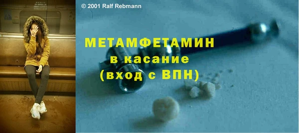 индика Михайловск