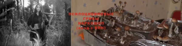 бошки Алексин
