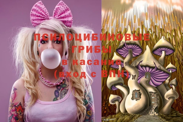 герыч Абаза
