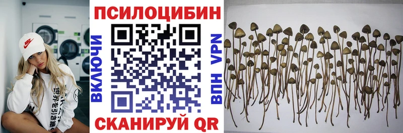 где найти дарк нет телеграм ссылка на мегу рабочий сайт Галлюциногенные грибы ЛСД Советский